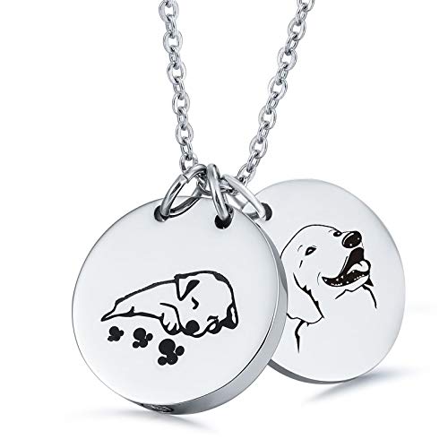 Daesar Asche Halskette Edelstahl, Silber Kette Damen mit Anhänger Rund Dog Tag mit Gravur Golden Retriever